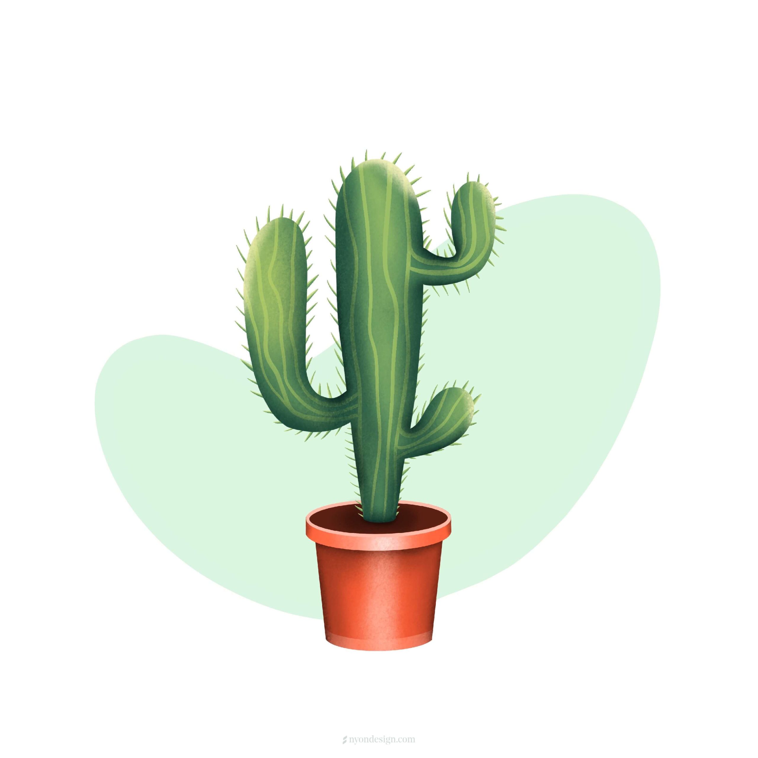 Cactus - Illustration - NYon design