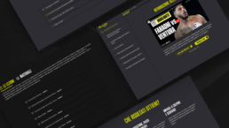 PunchUp 6 - NYon design